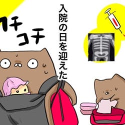 ついに入院!でも肝心な時に私が…【口唇口蓋裂ちゃん、育ててます77】