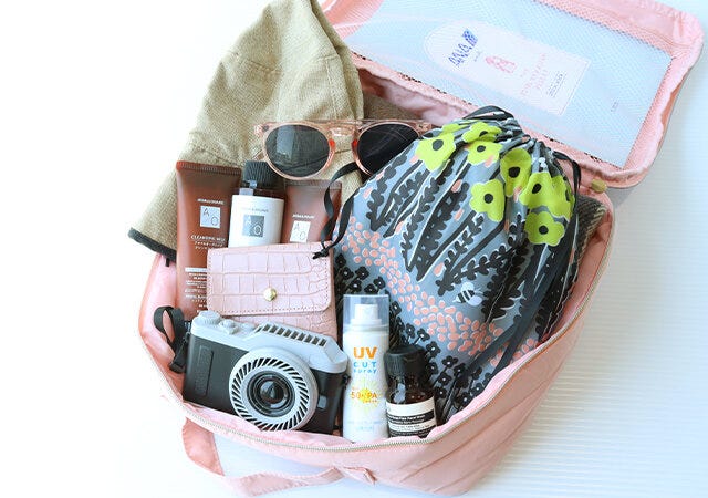 ムック本　ムック　付録　人気　おすすめ　オススメ　宝島社　宝島　レビュー　便利　優秀　当たり　最高　2023　ANA　THE