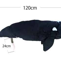 ★スペシャルチケット|セミクジラのぬいぐるみ_サイズ入り