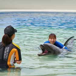 神戸須磨シーワールドホテル/提供画像