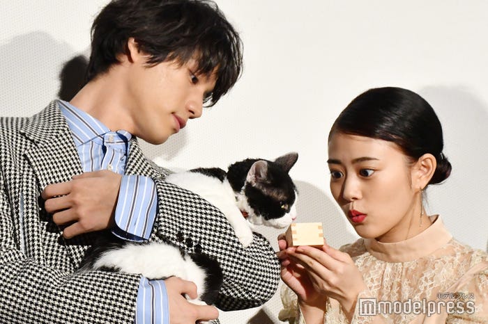 福士蒼汰と主演猫のナナと高畑充希 (C)モデルプレス