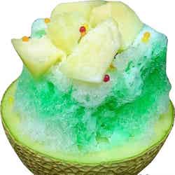 「おがわ」メロンかき氷