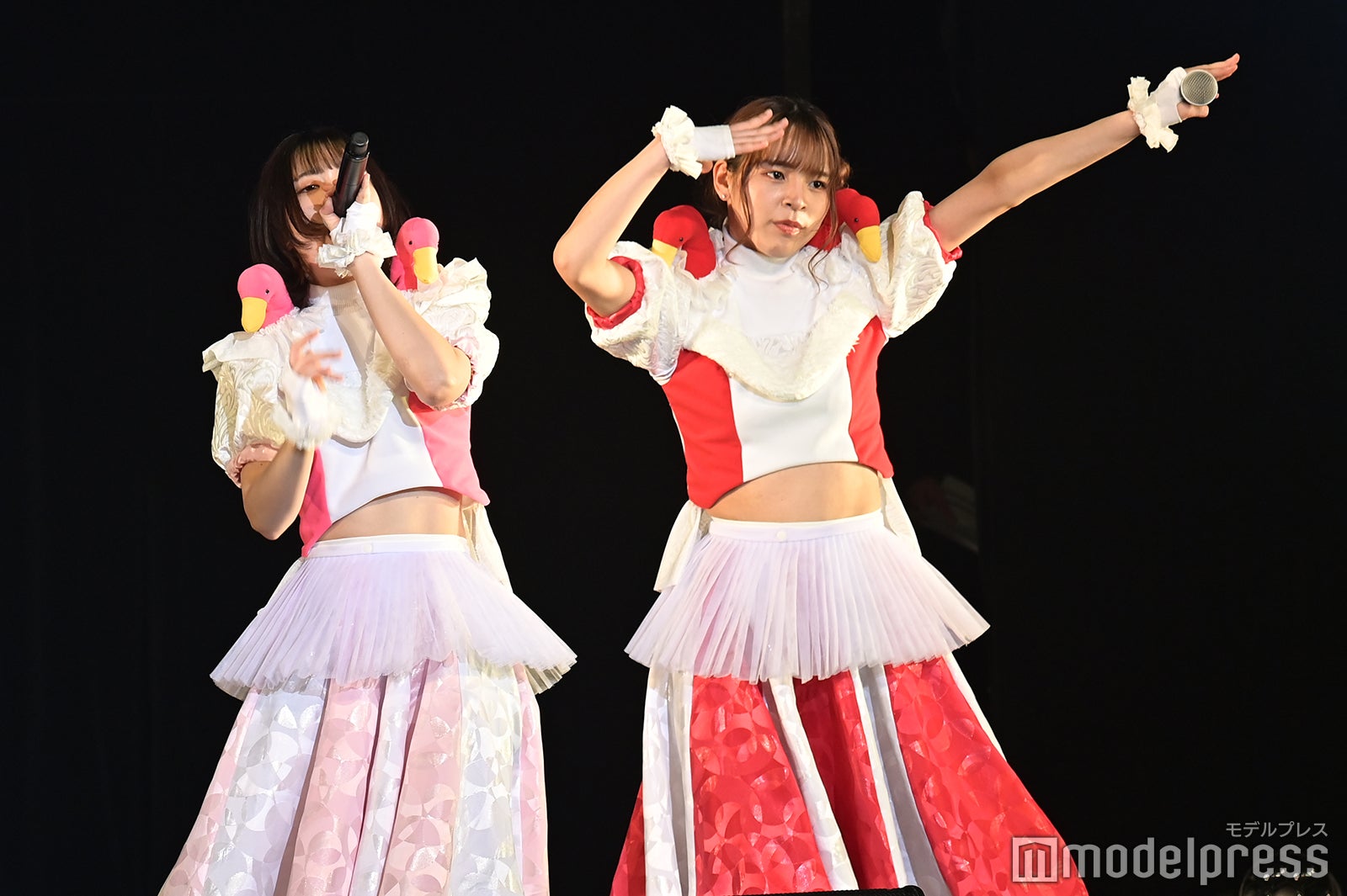 豆柴の大群（C）モデルプレス