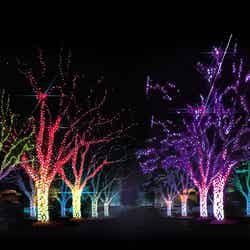 光のカーニバル・ギミックショー/画像提供:イルミナージュ事務局