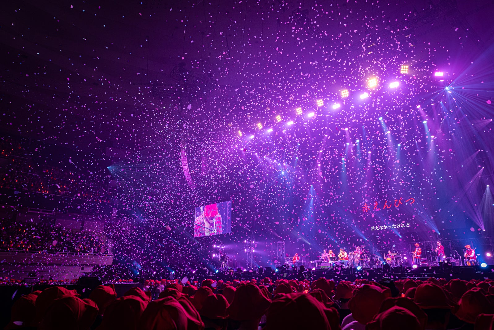 「赤えんぴつ in 武道館」撮影：RyuyaAmao