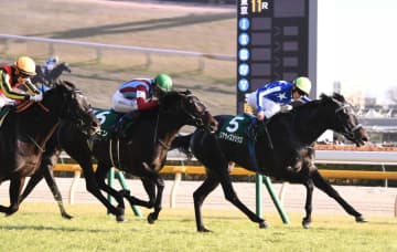 【共同通信杯】リアライズシリウスが重賞2勝目 無敗の左回りで雪辱星 手塚久師「着順以上に強い競馬」
