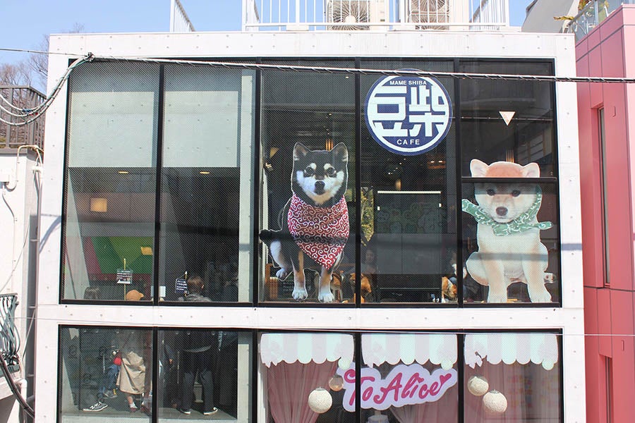 原宿乃豆柴カフェ外観