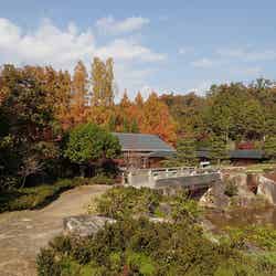 愛知県に「ジブリパーク」2020年代初頭オープンへ　「となりのトトロ」の世界観を再現／画像提供：愛・地球博記念公園管理事務所