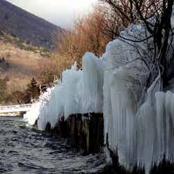 中禅寺湖のしぶき氷/提供画像