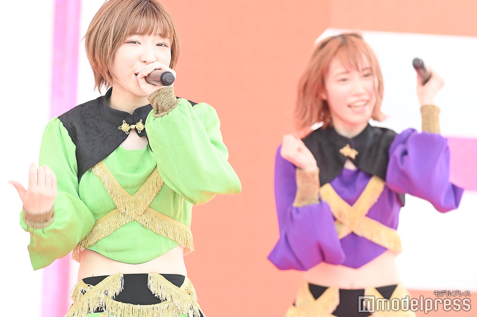 豆柴の大群（C）モデルプレス