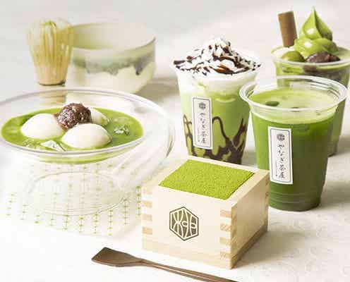 浅草に抹茶スイーツの和カフェ「やなぎ茶屋」 SNSで話題の升ティラミスまで抹茶尽くし