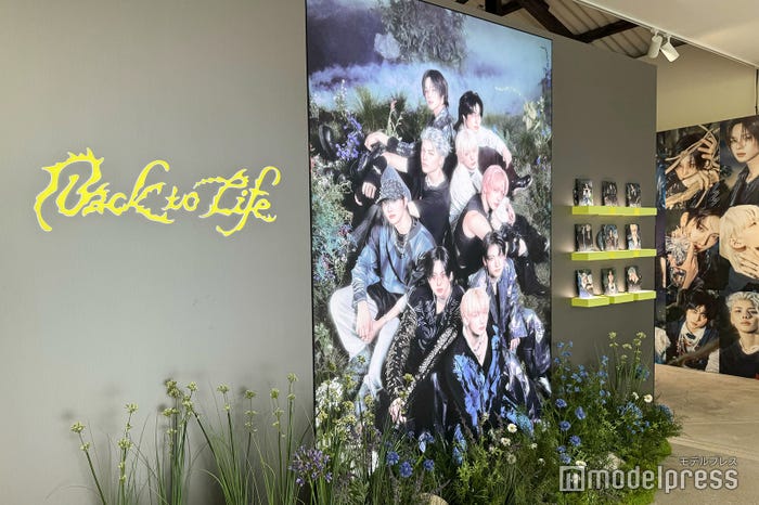 &TEAMポップアップストアの様子(C)モデルプレス