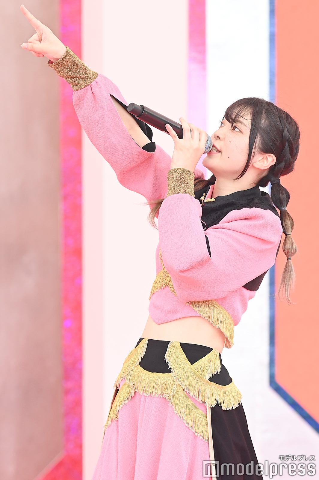 豆柴の大群（C）モデルプレス