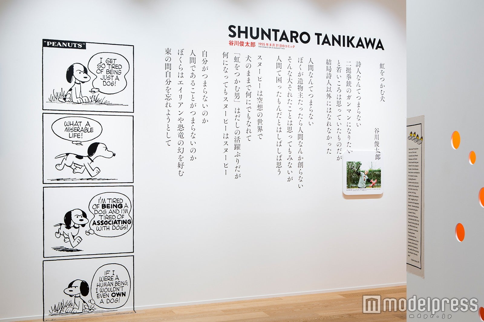 （C）Peanuts Worldwide LLC