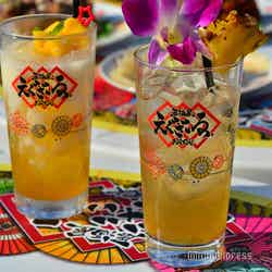 (左から)北人からの贈り物~南国の星空マンゴージュース~¥700、沖縄のティーダを浴びたけんたのシークヮーサーのジンジャー割り¥650(C)モデルプレス