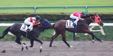 東京で新馬勝ちしたアメリカンフレンズはカトレアSへ なでしこ賞2着のペアスターロード兵庫ジュニアグランプリに登録