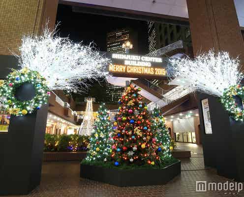 新宿がイルミきらめくデートスポットに ロマンティックなXmasツリーも点灯