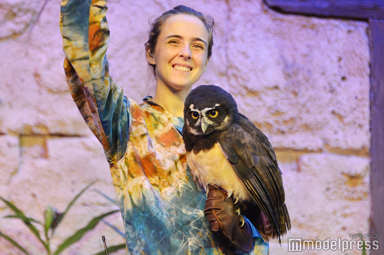 「カールじいさんの空飛ぶ家：ア・グレート・バード・アドベンチャー」（C）モデルプレス（C）Disney