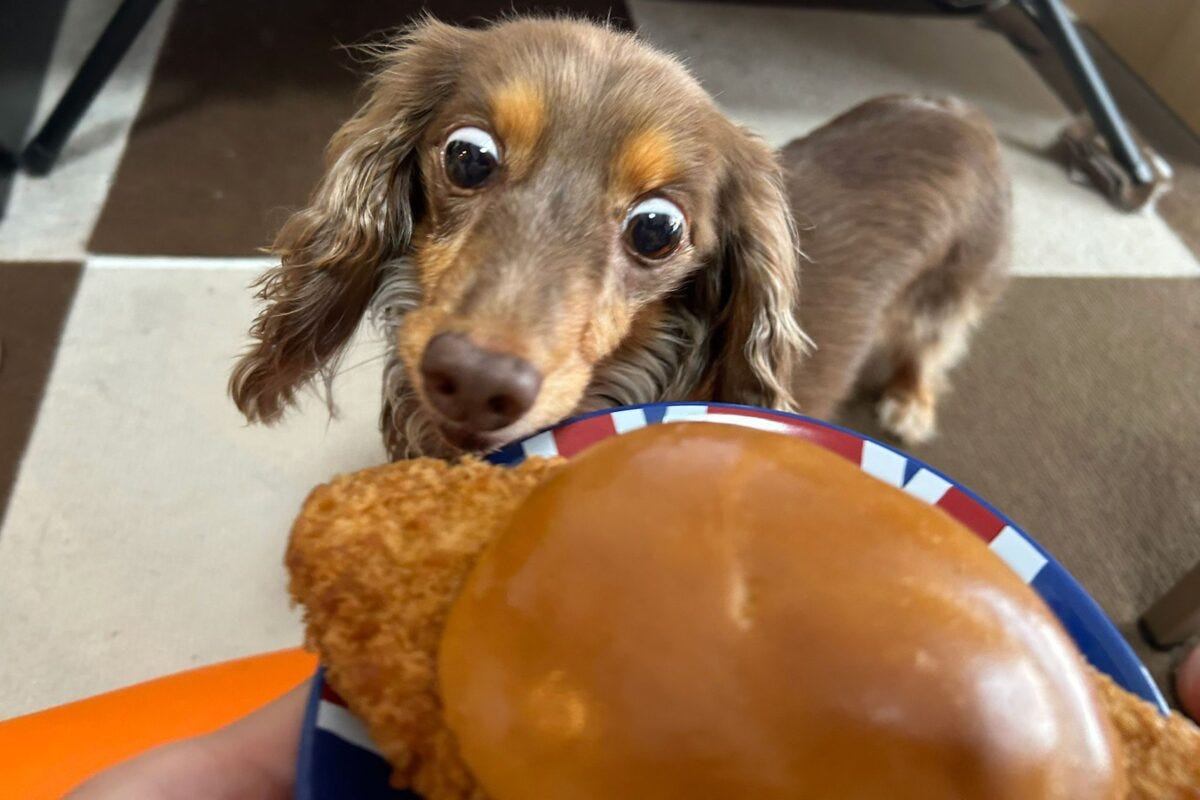 『盛りすぎ!メンチバーガー』とちるくん