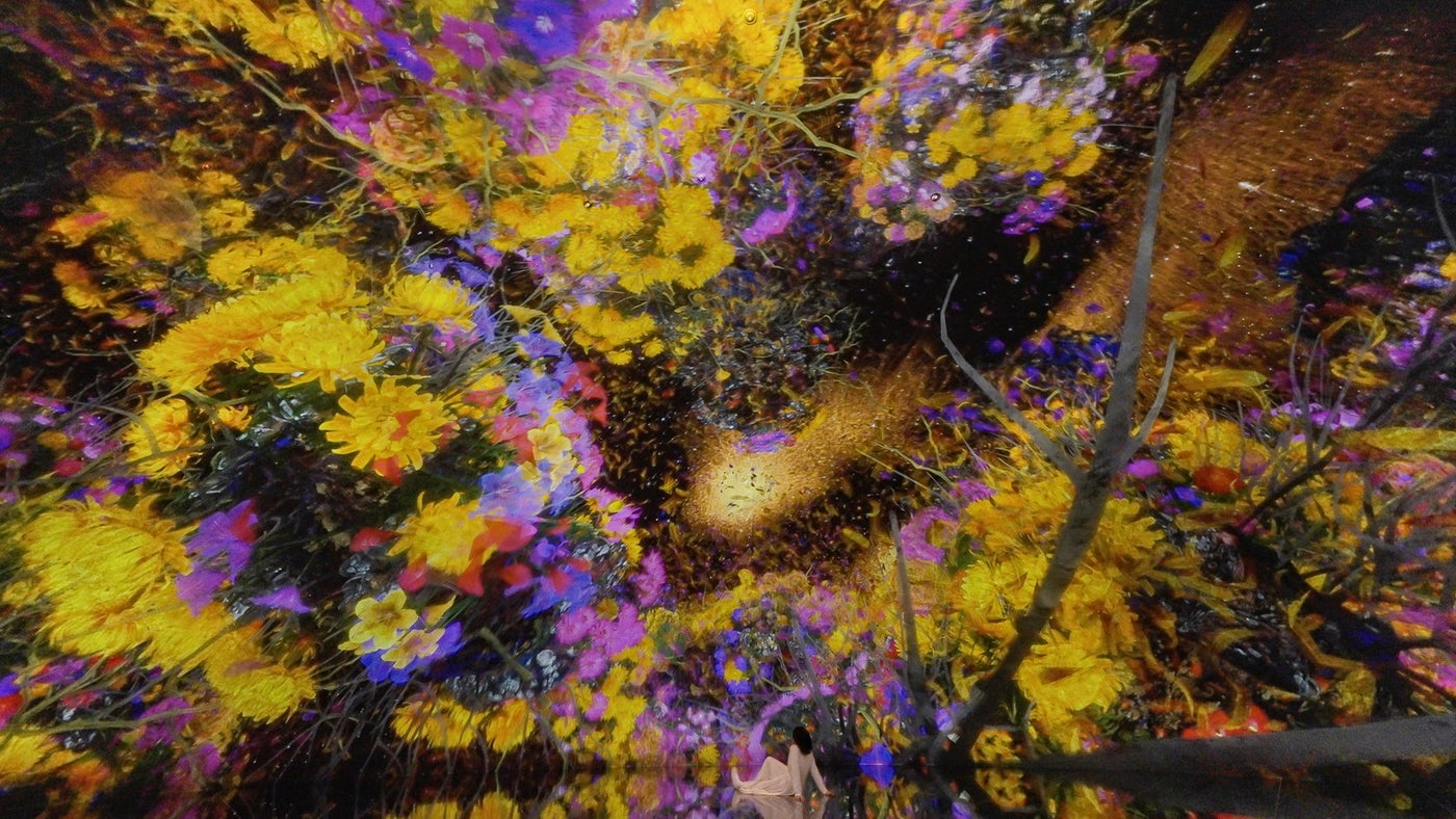 チームラボ バイオヴォルテックス 京都(C)チームラボ