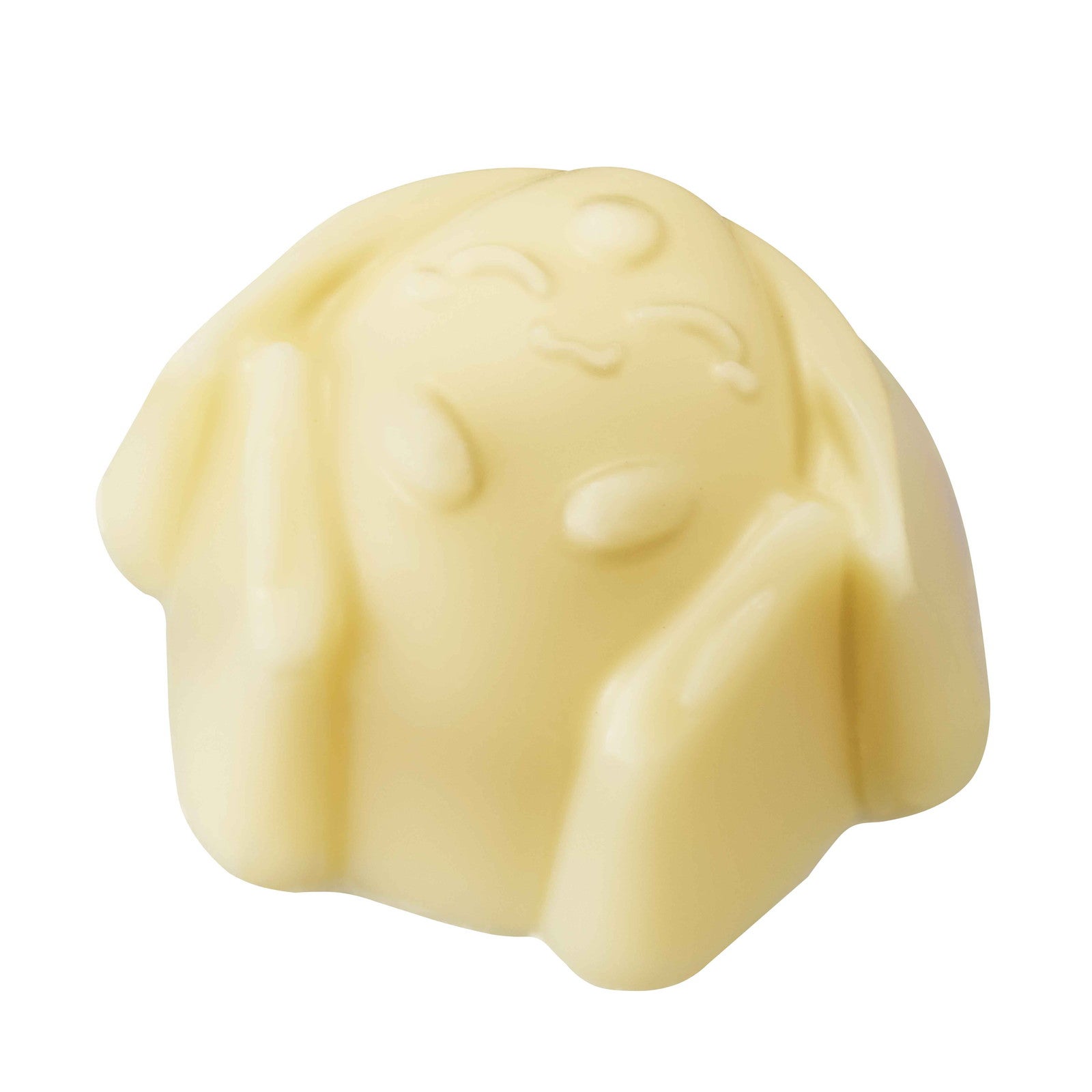 モコナ＝ソエル＝モドキ（C）C・ST／K