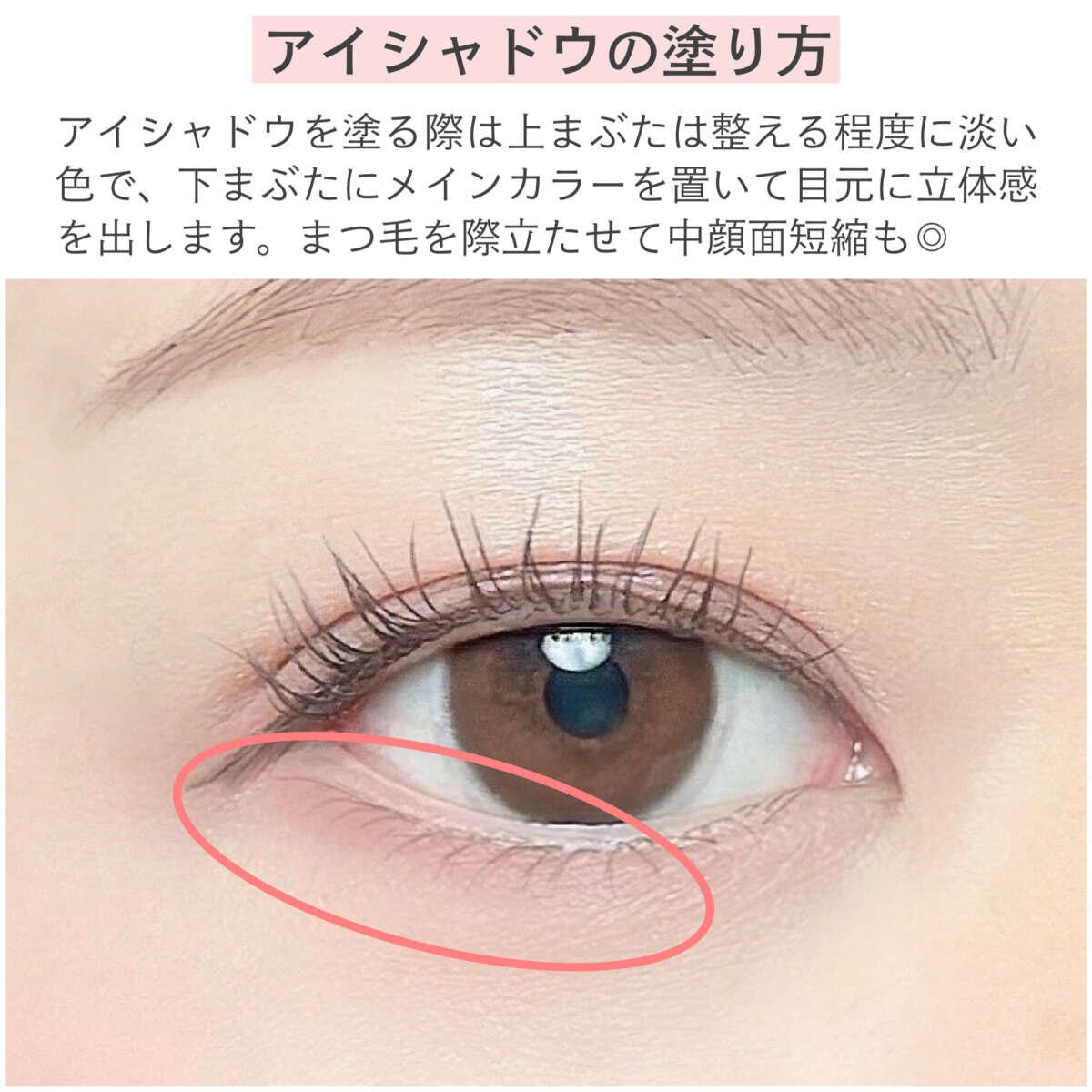 下まぶた目尻にメインカラーを入れるアイシャドウの塗り方
