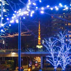 MIDTOWN CHRISTMAS 2019／画像提供：東京ミッドタウンマネジメント