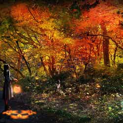 画像提供:ネイキッド