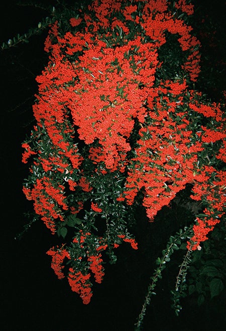 『装苑』2020年3月号より／撮影：森川葵（提供写真）