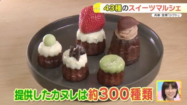 【兵庫】毎日新作が登場!?