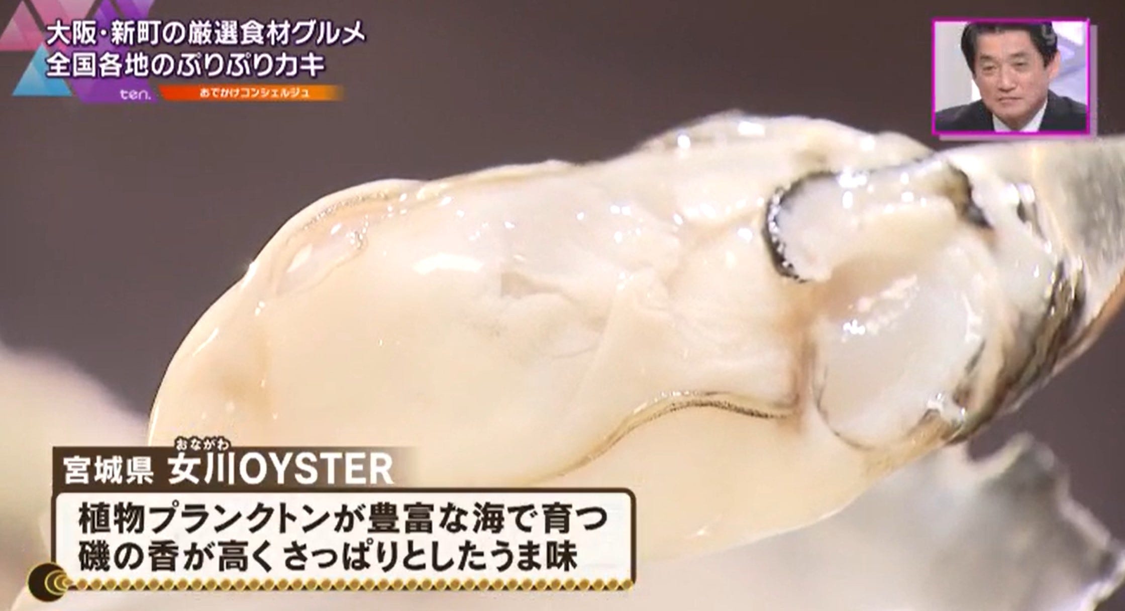 女川OYSTER