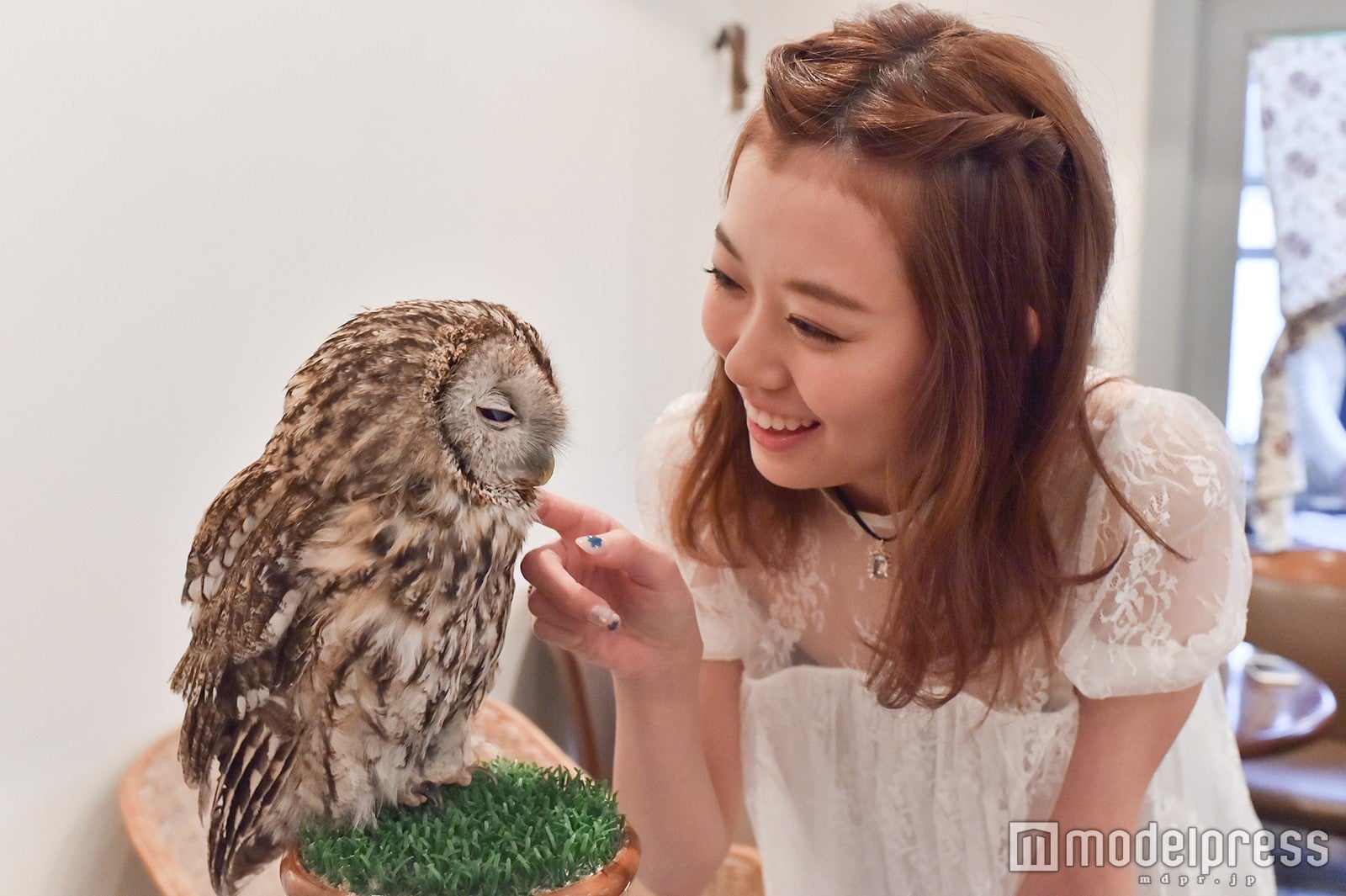 モリフクロウのモリちゃん、渡辺美優紀（C）モデルプレス