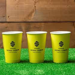 Frogs FARM PICNIC GARDEN/画像提供:バルニバービ