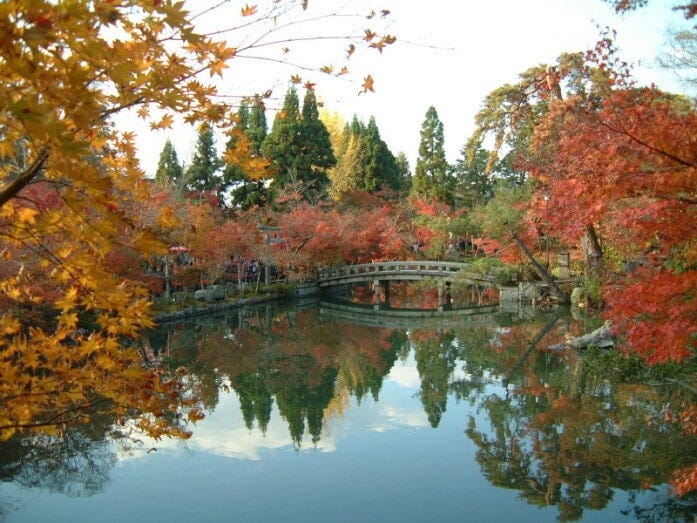 永観堂の紅葉（2009年11月23日撮影）