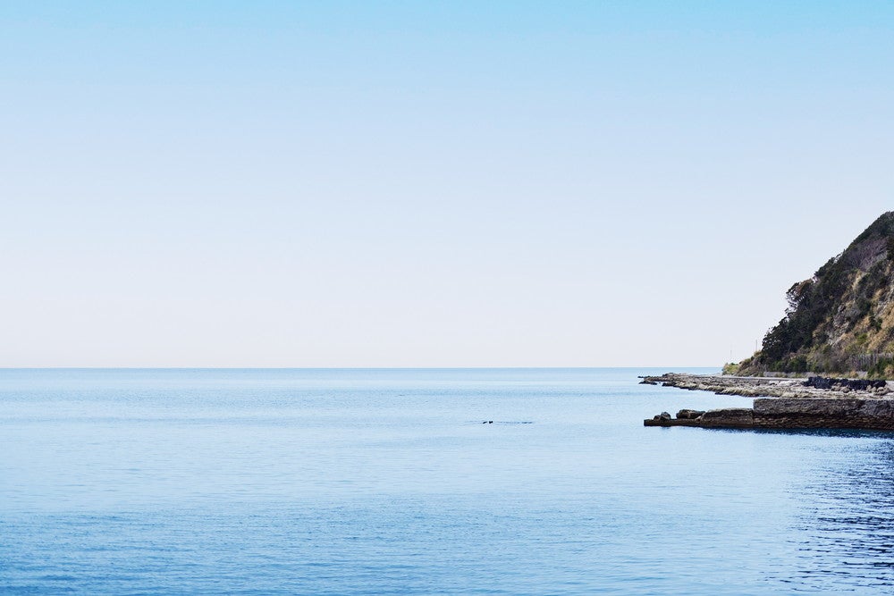 カップマルタンファニーハウス／画像提供：R＆Y