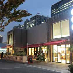 りんかい線(東京テレポート駅)画像提供:イルミネーションアイランドお台場2017実行委員会