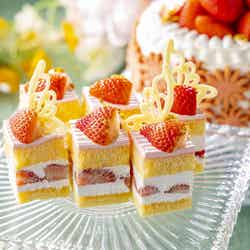 Strawberry Fairy Garden/提供画像