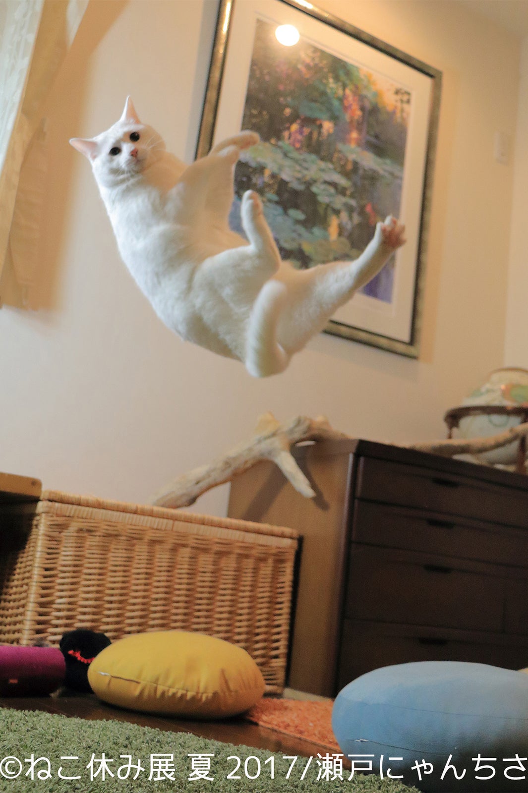 ねこ休み展／画像提供：BACON