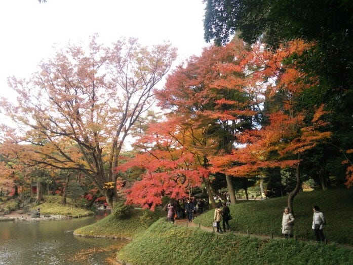 小石川後楽園の紅葉（2016年11月28日撮影）