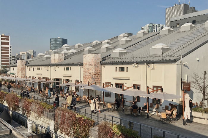 200mにも及ぶボードウォーク/画像提供:フライングサーカス