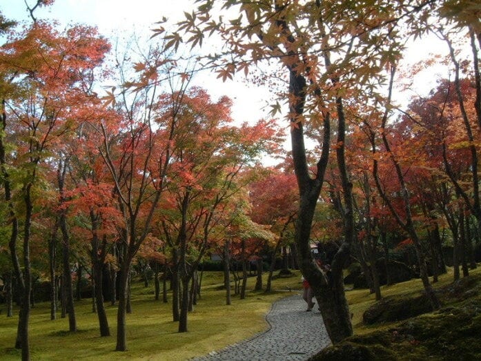 箱根美術館の紅葉（2009年11月7日撮影）