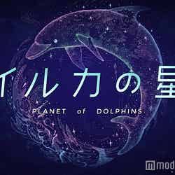 イルカの星/画像提供:コニカミノルタプラネタリウム
