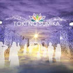 ひかりのすみか/画像提供:時之栖