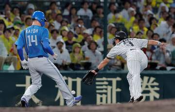 阪神が守備が乱れ逆転許す 疑惑の判定に藤川監督抗議も覆らず 坂本三塁送球時にエドポロケインと接触し悪送球 責任審判「自然な動き」