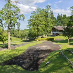 ほけだけグランピング~和泉の毬花~/提供画像