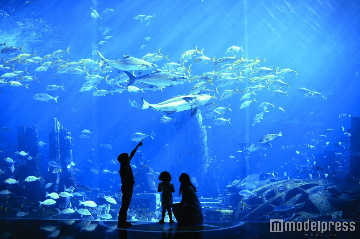 プロポーズ成功間違いなし!ドバイの秀逸サプライズスポット5選