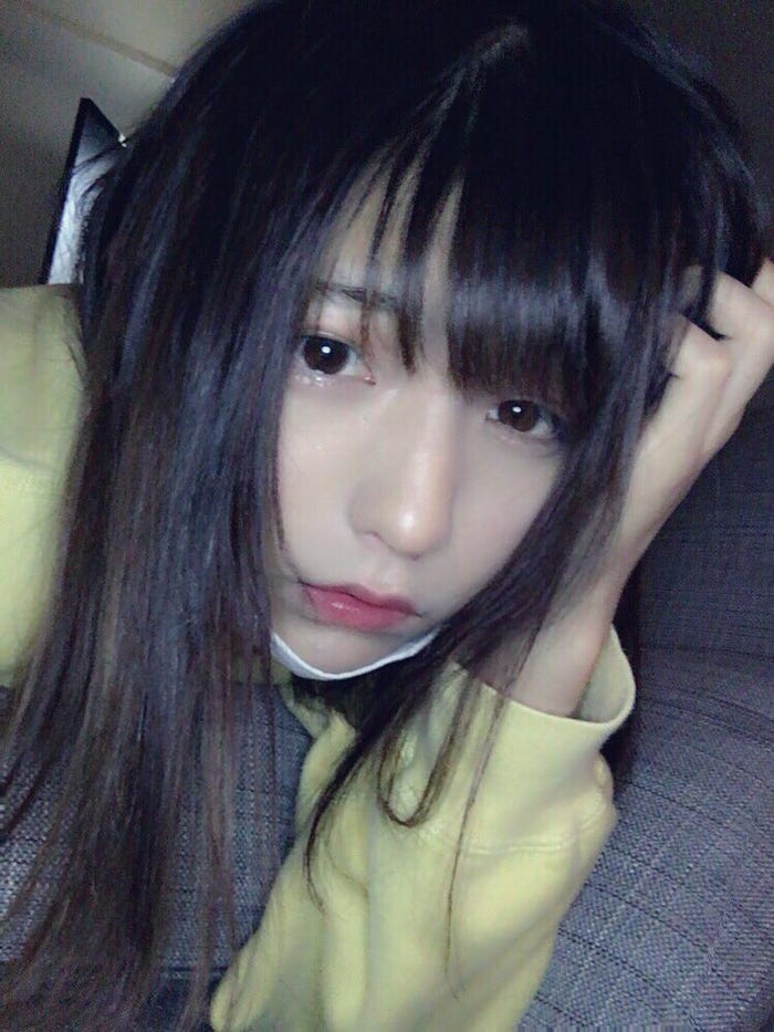 ぎんしゃむ(提供写真)