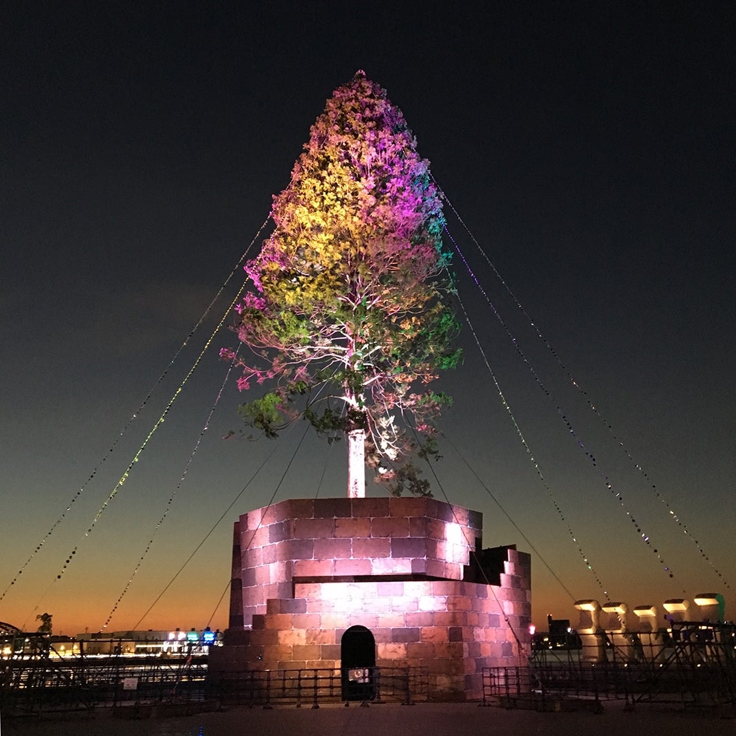 岡田准一、LINELIVEに出演（提供写真）