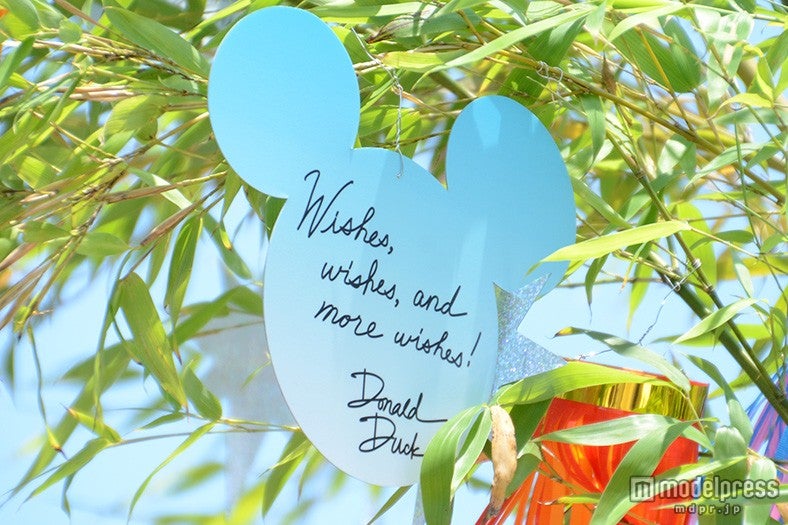 ドナルドのウィッシングカード