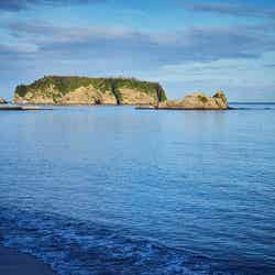 みささ/画像提供:紀伊乃国屋